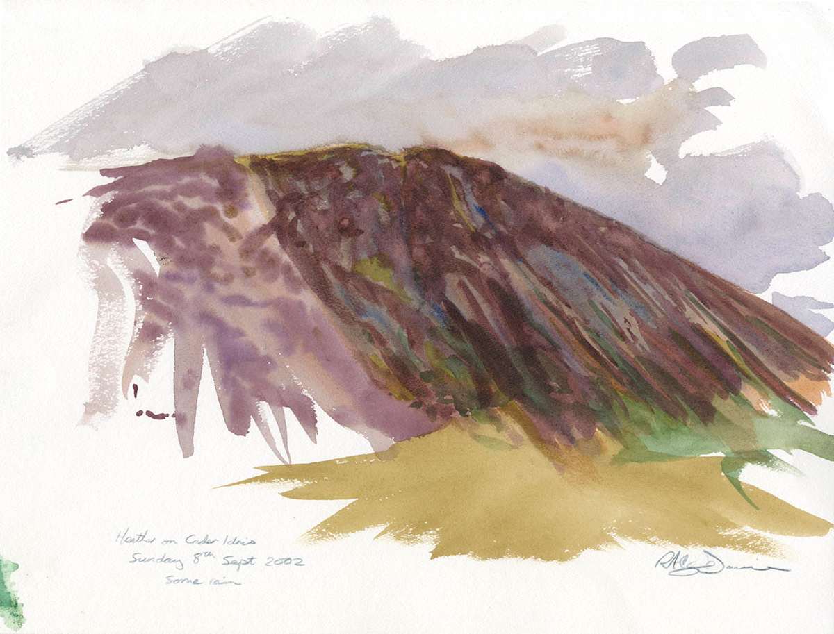 Heather on Cader Idris by RAG Davies, Image 1.