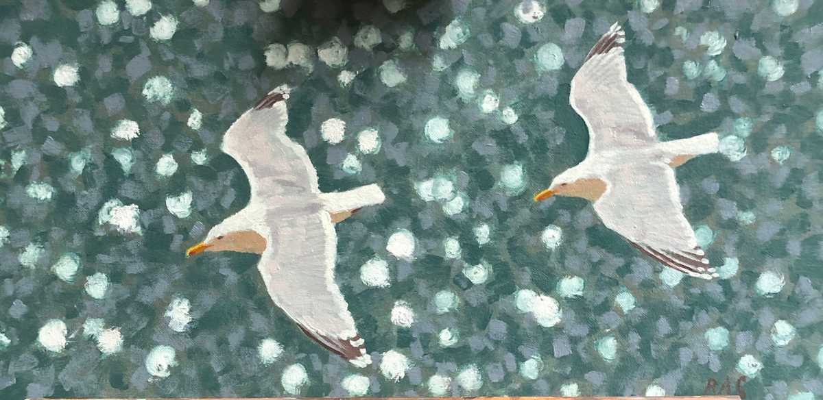 Herring Gulls by RAG Davies 