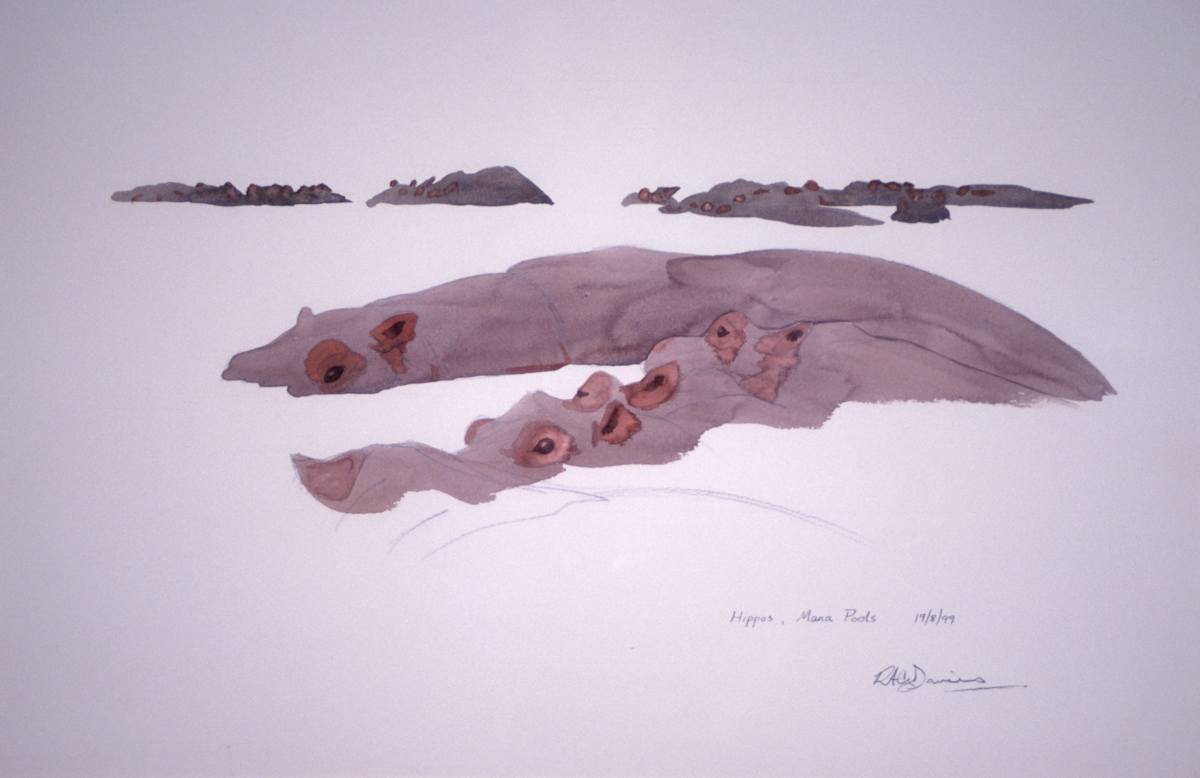 Hippos Mana by RAG Davies, Image 1.