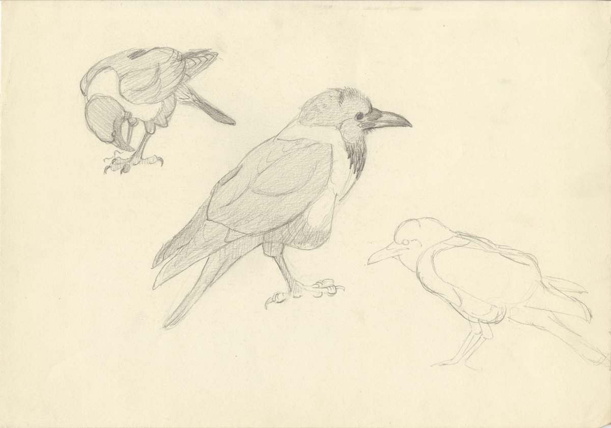 Cuthbert poses by RAG Davies 