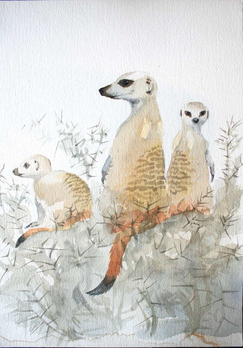 meerkat trio by RAG Davies 