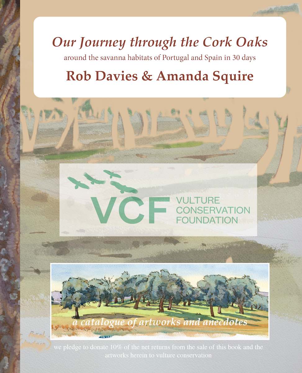 Our Journey through the Cork Oaks by RAG Davies 