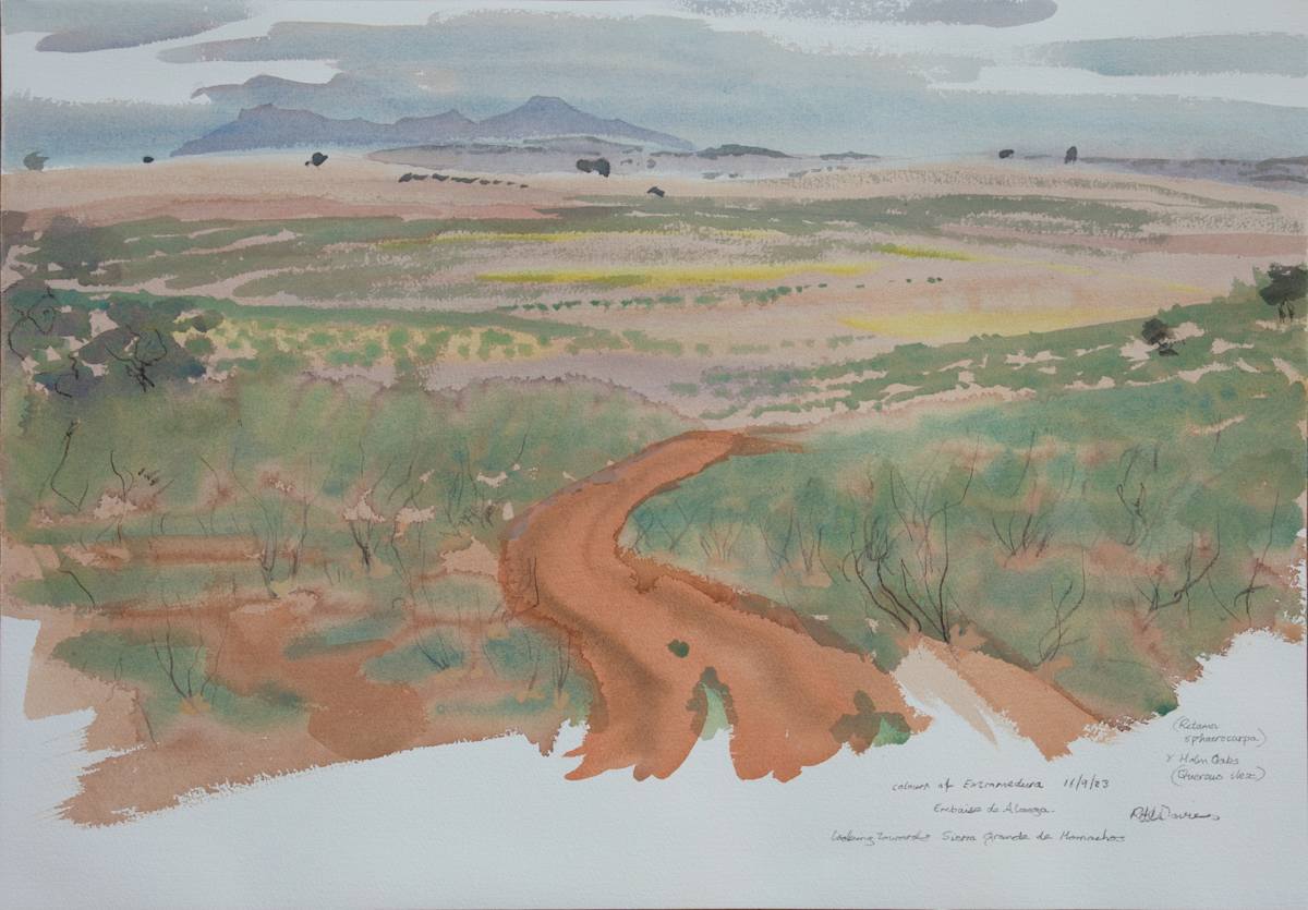 Embaise de Alange colours by RAG Davies 