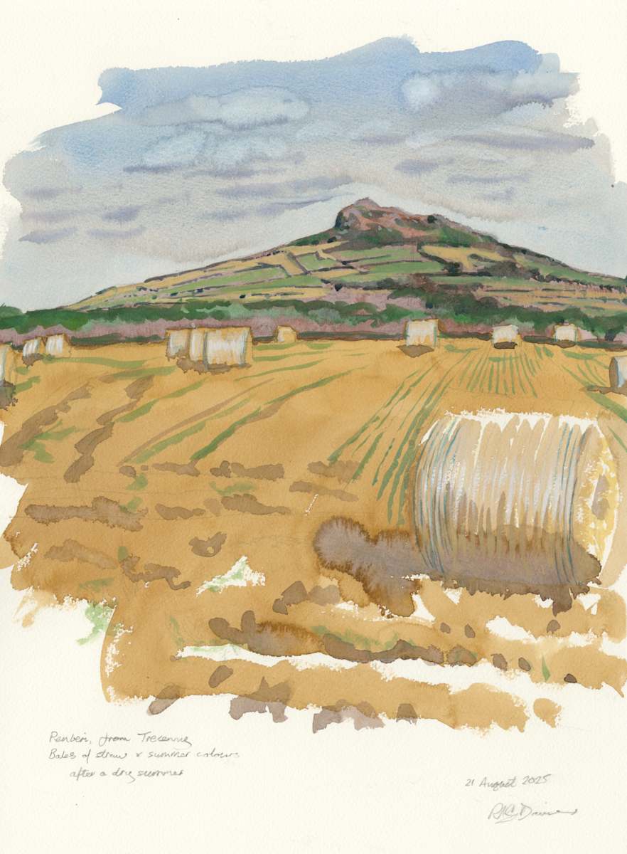 Summer Colours by RAG Davies 