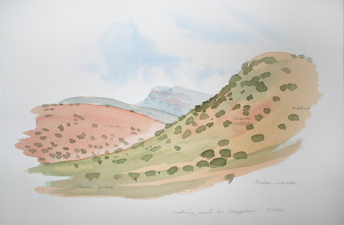 Anysberg hillside sketch by RAG Davies 