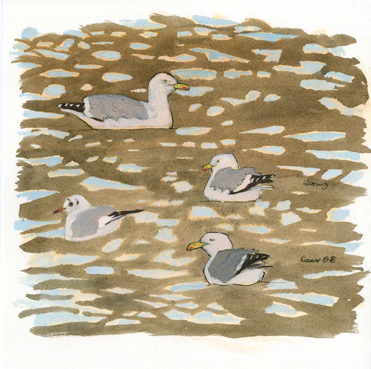 Seagulls, oil sketch by RAG Davies 