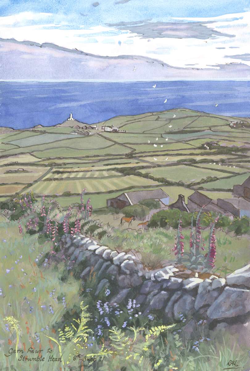 Garn Fawr to Strumble Head by RAG Davies 