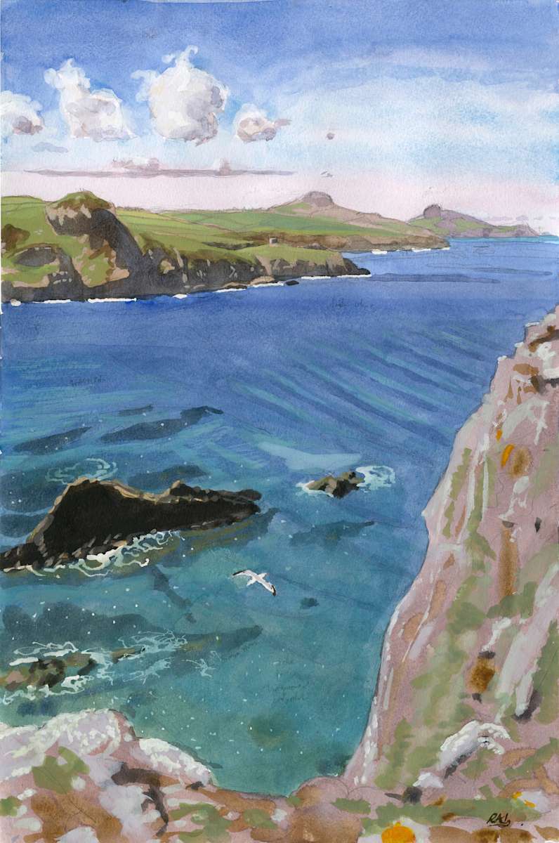 Ynys Barry by RAG Davies 