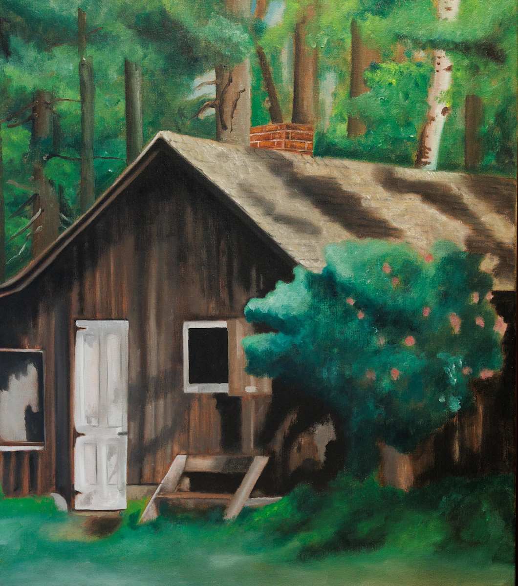 The shack (Aldo Leopold) by Dorian Büchi, Image 1.