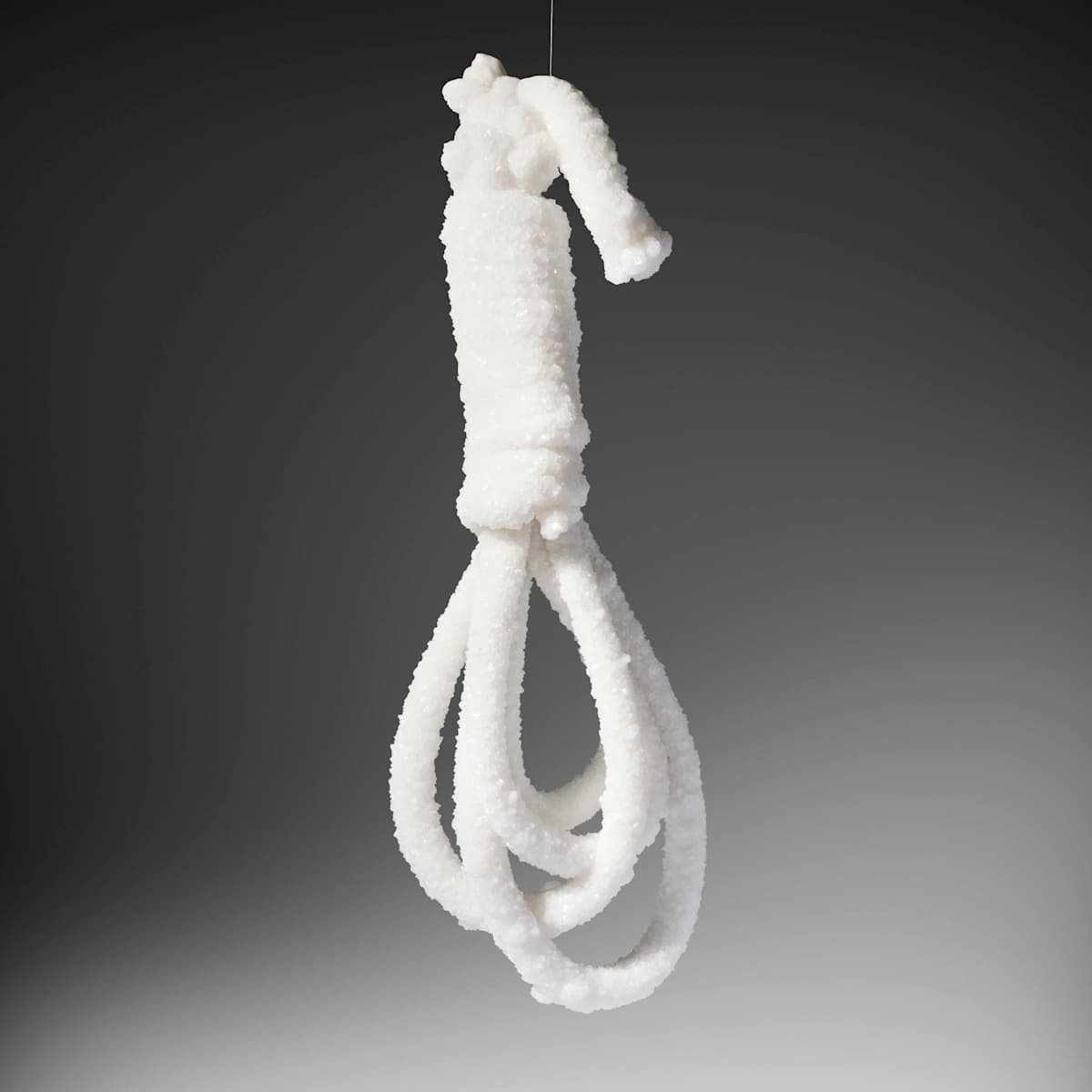 Gang Hang by Sigalit Landau, Image 2.