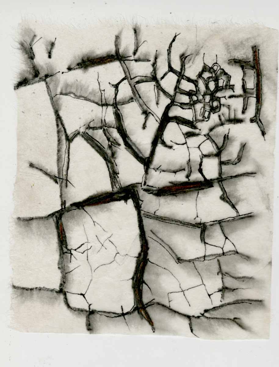 Joya Patterns Cracks by Kimberly Callas, Image 1.