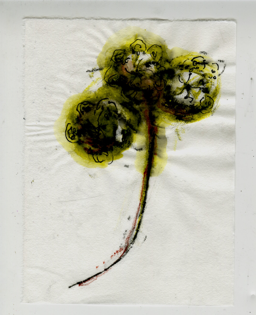 Joya Patterns: Flower by Kimberly Callas 