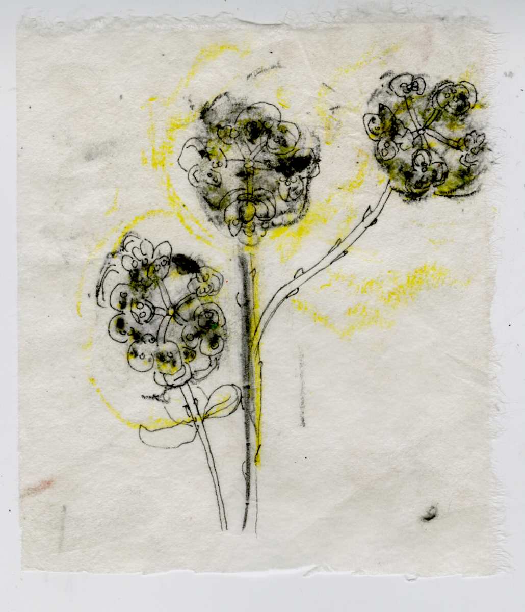 Joya Patterns Flower 2 by Kimberly Callas, Image 1.