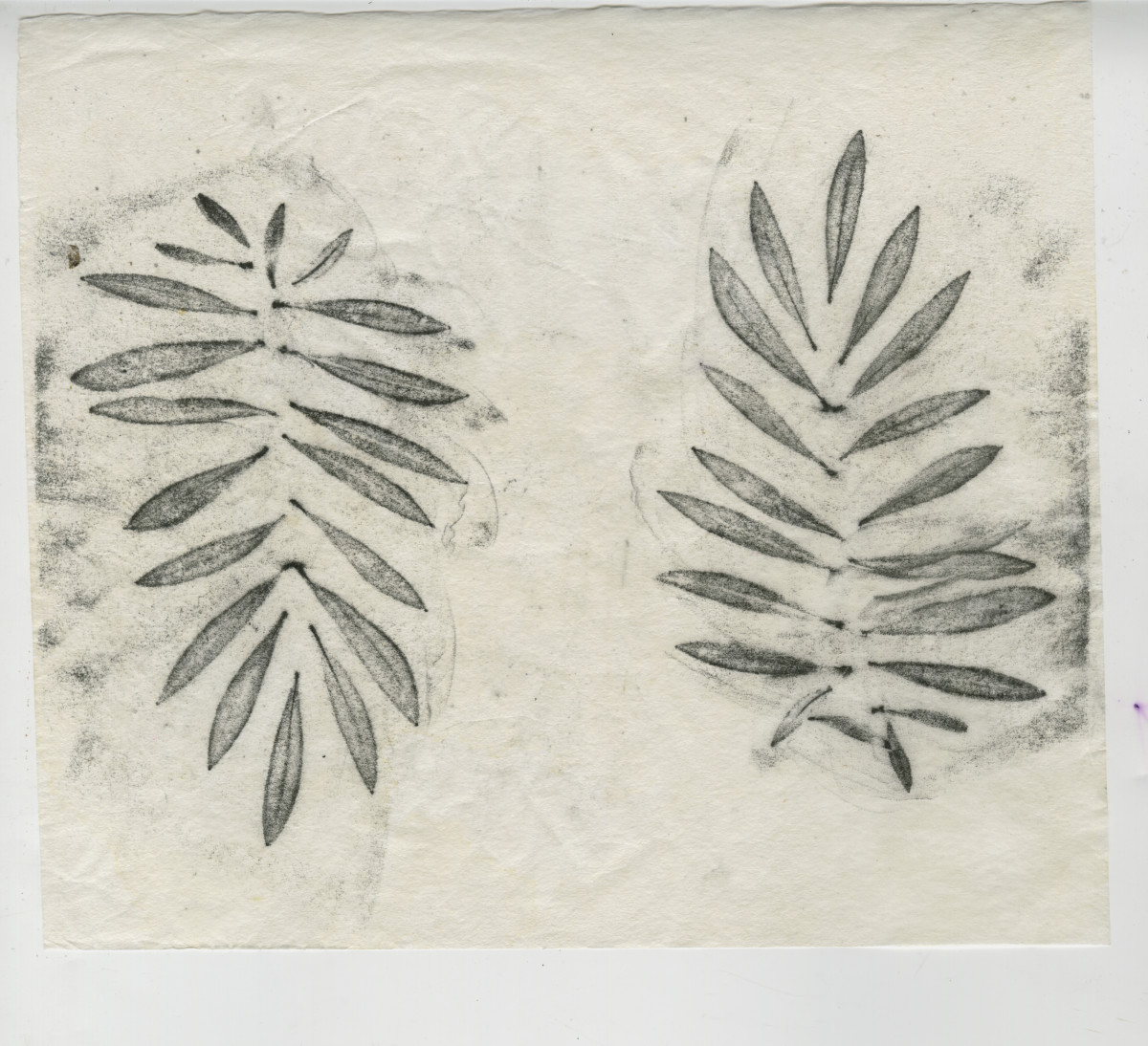 Joya Patterns Olive Leaf by Kimberly Callas 