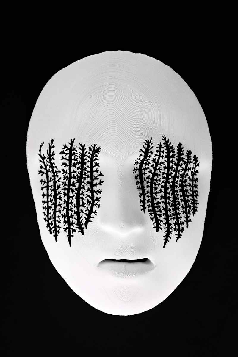 Yarrow-Eyed by Kimberly Callas, Image 2.