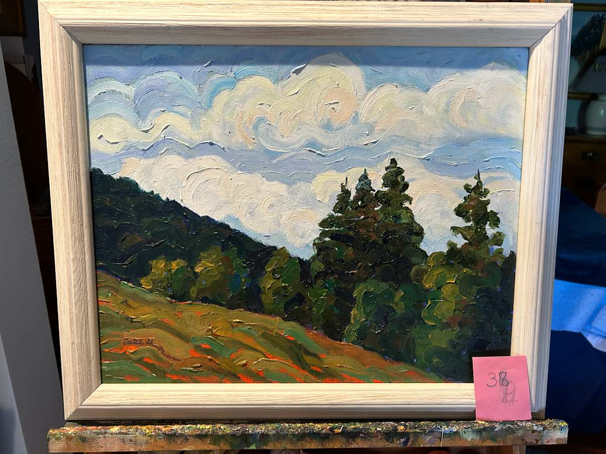 Not Switzerland by Gale Hartman, Image 1.