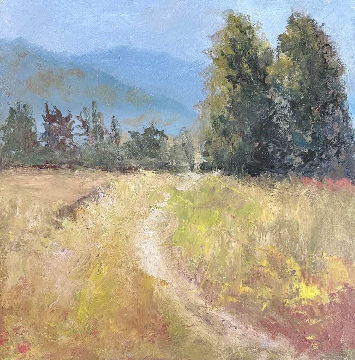 Mountain Valley Path by Monte Perry 