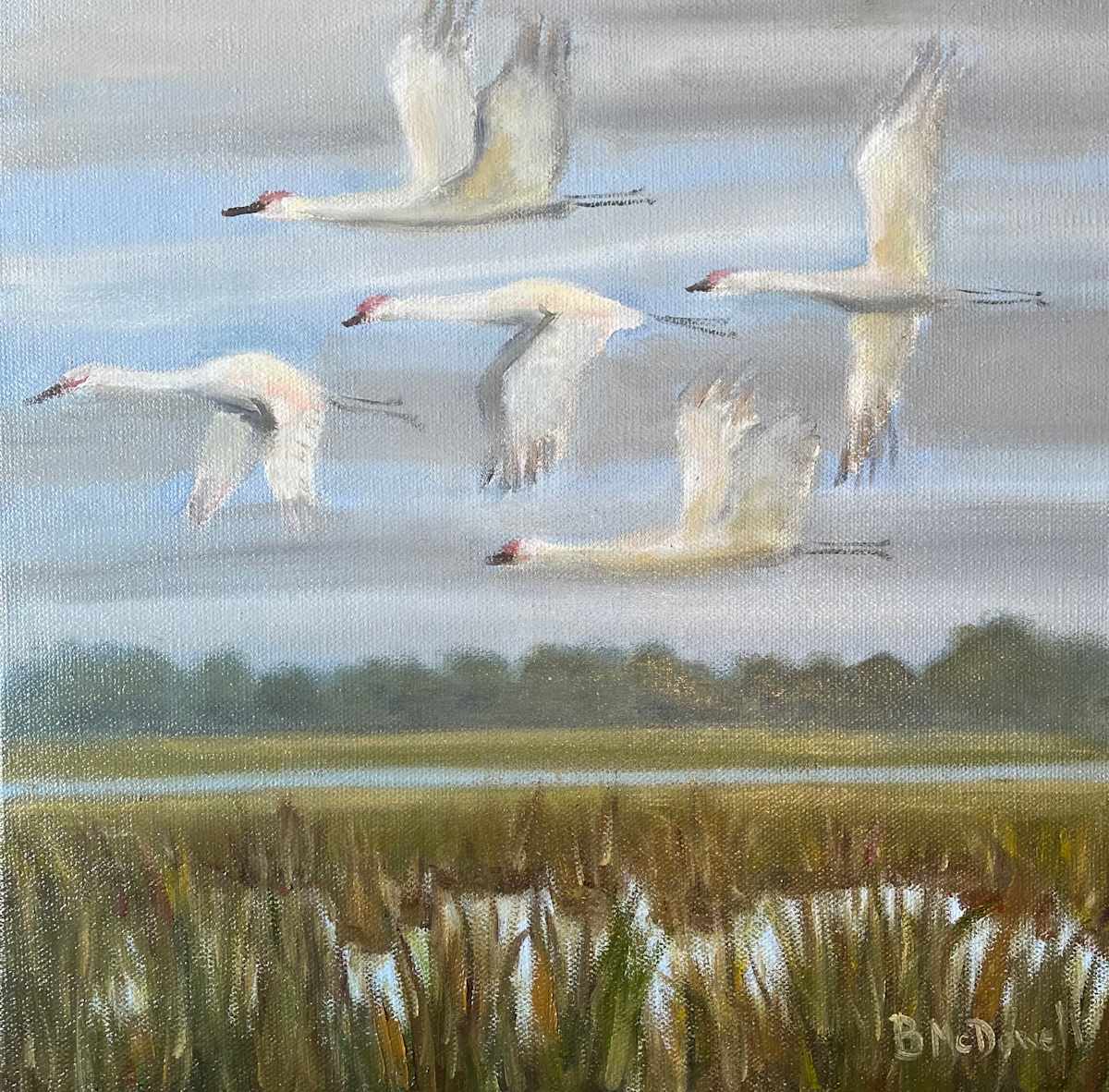 Sandhill Cranes in Flight by Monte Perry 