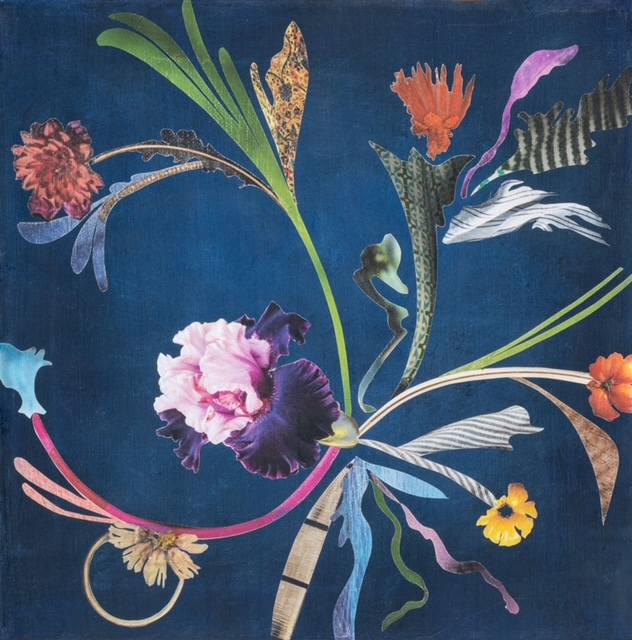 Southern Comforts by Monte Perry 