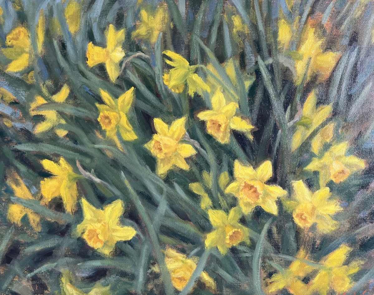 Daffodils by Monte Perry 