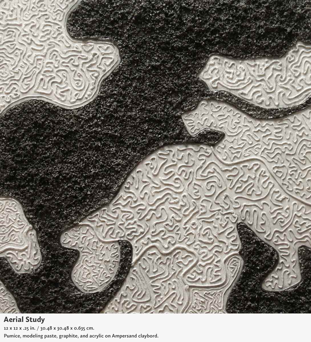 Aerial Study by Marissa Mason  Image: Aerial Study
