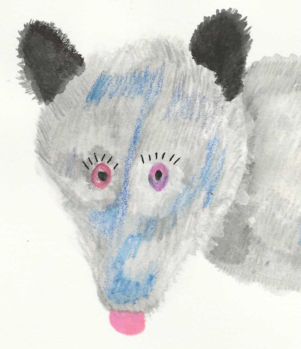 Oscar the Opossum by Charlene Huston 