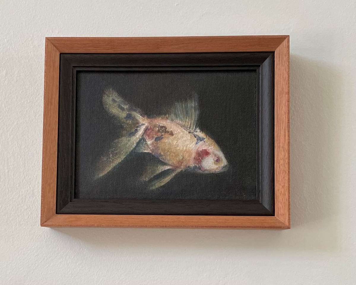 Goldfish study by Karin Moustakas  Image: Goldfish study….. featured in animated poem sequence Nishikigoi.