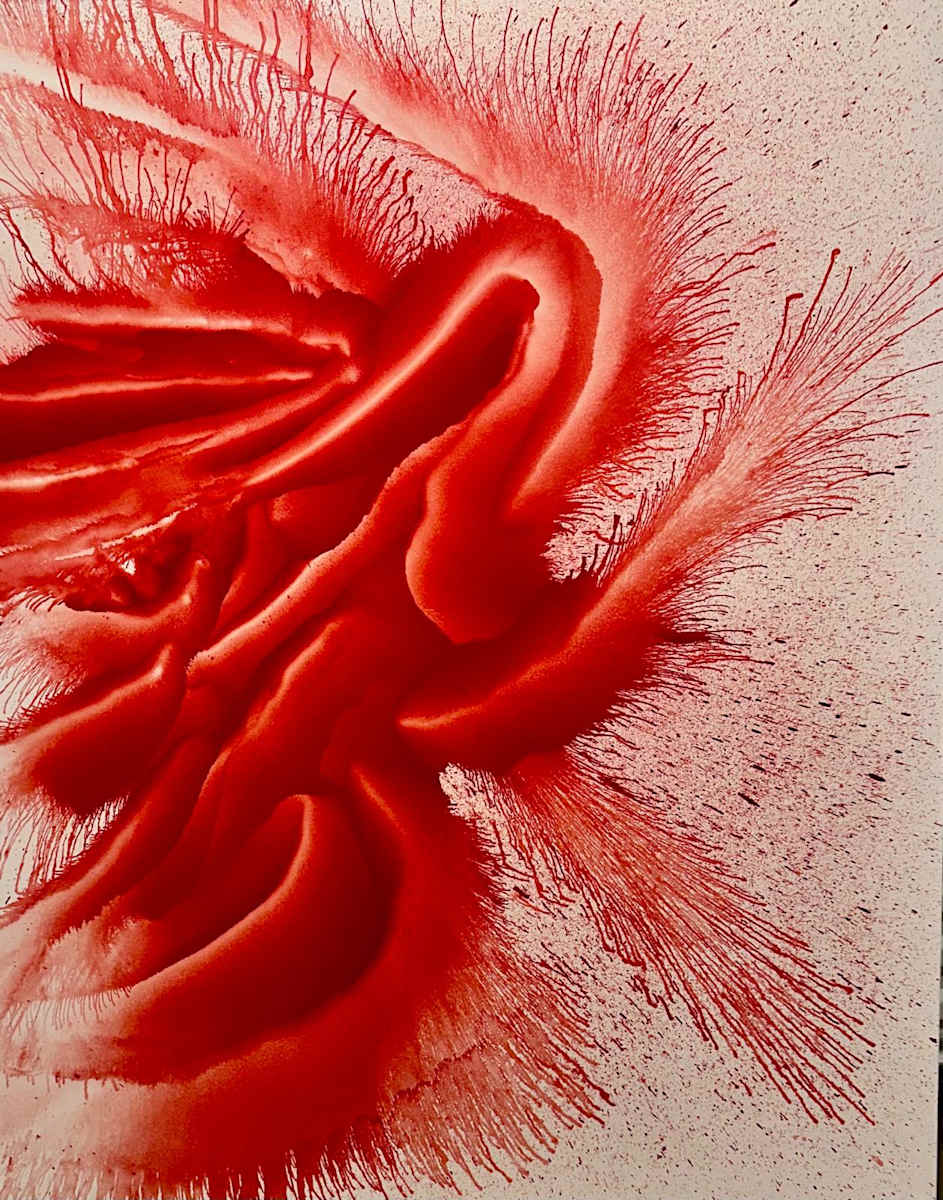 Concentric Path 26 by Daniela Wicki, Image 2.