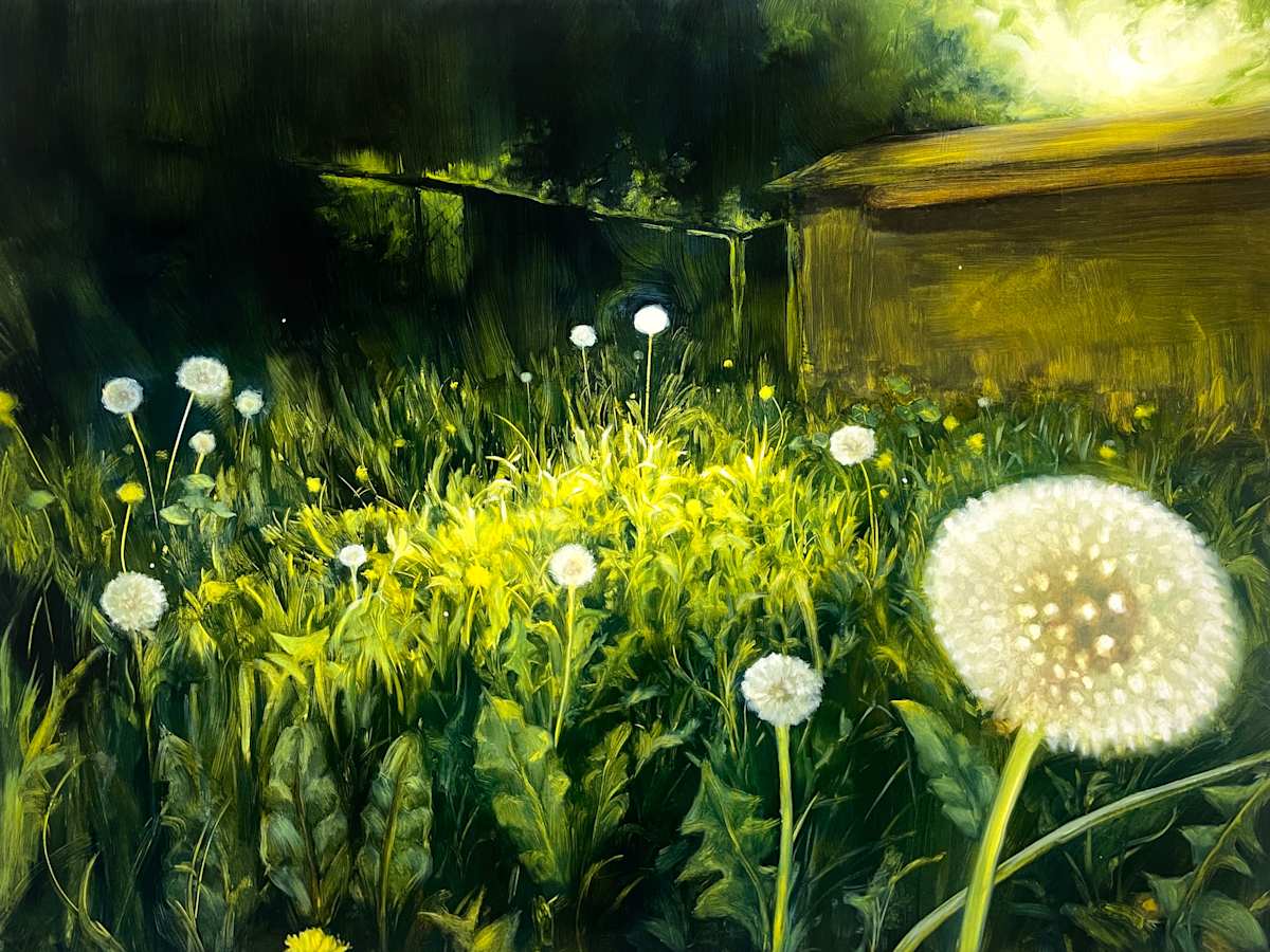 so many wishes by Crescent Cheng, Image 1.