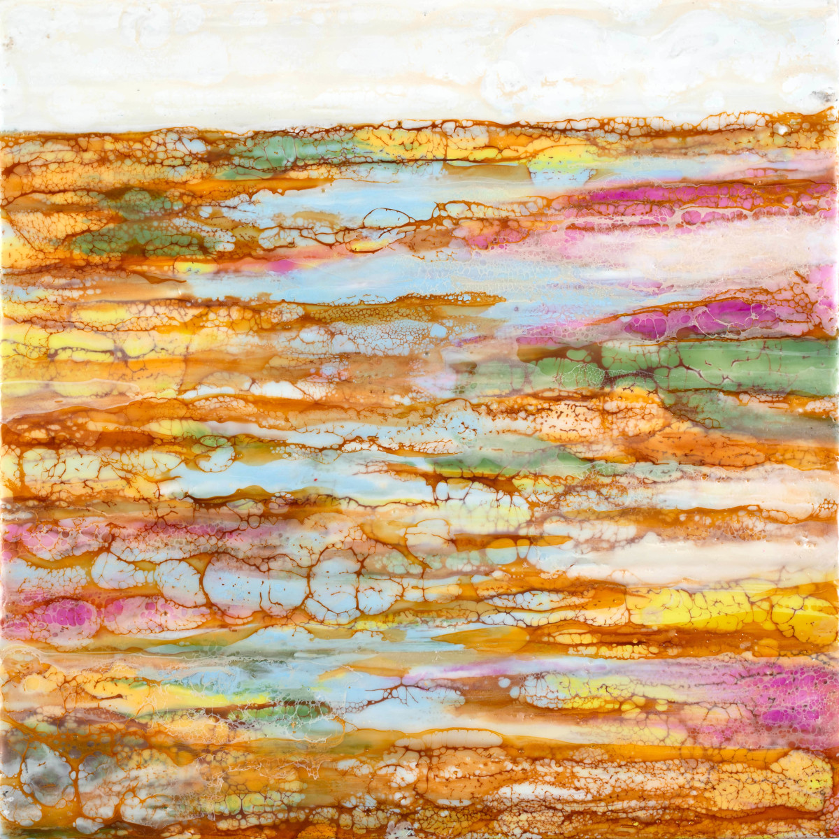 Anchiale by Fran Eber 