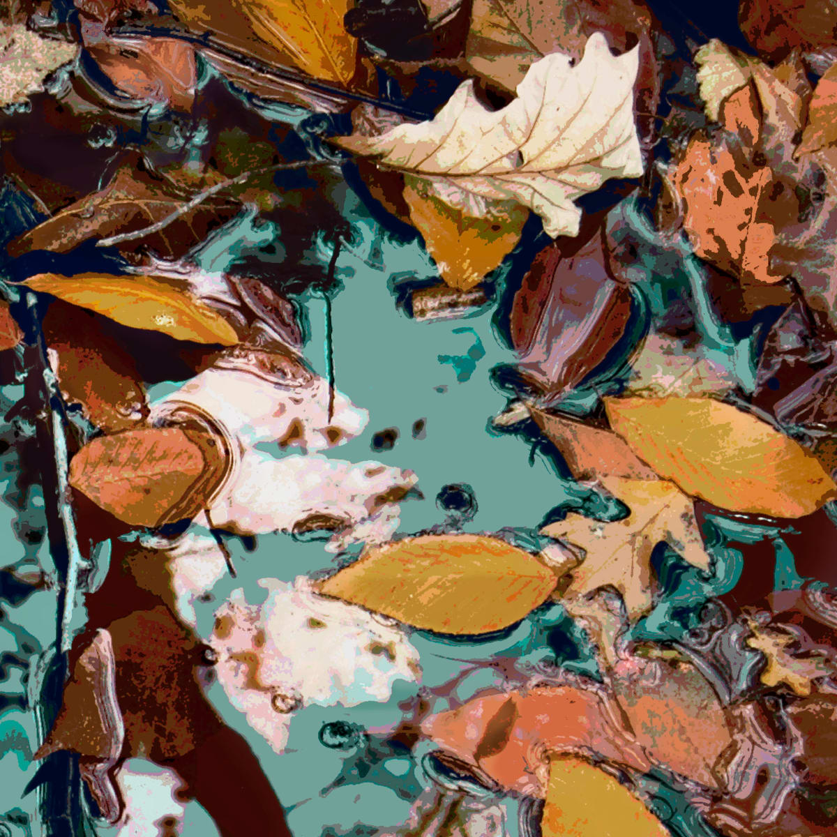 Floating 1, Image 1.