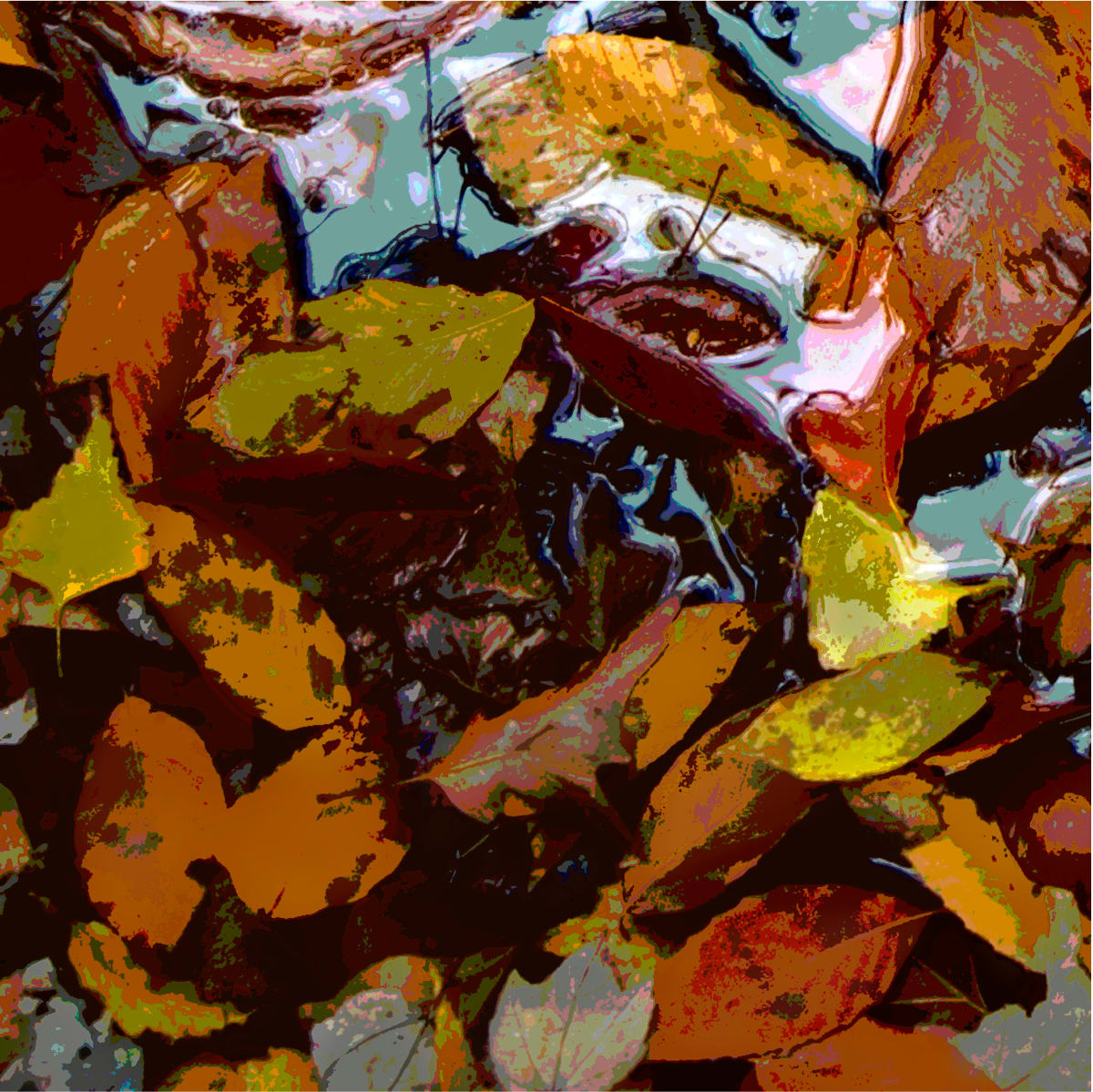 Floating 5, Image 1.