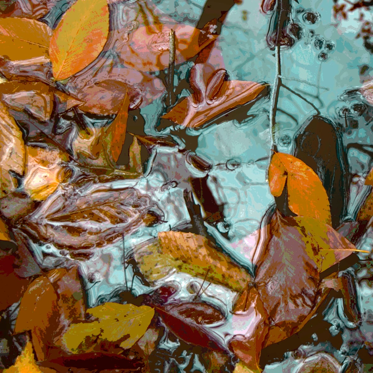 Floating 6, Image 1.