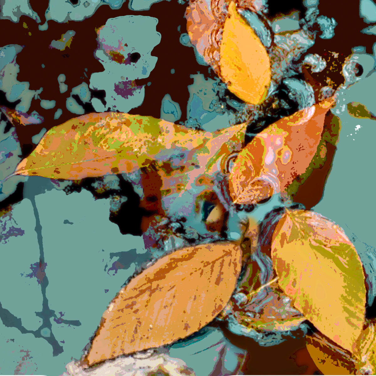 Floating 7, Image 1.