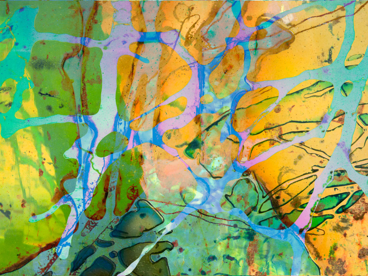 Banded by Fran Eber, Image 1.