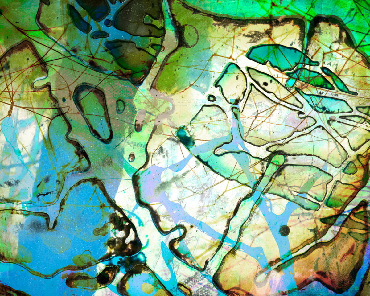 Alpha Wired by Fran Eber, Image 1.