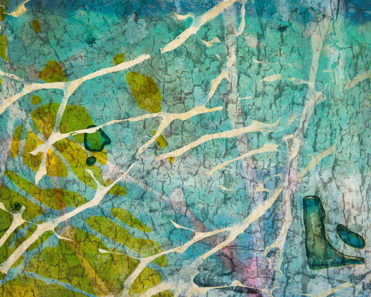 Caustics by Fran Eber, Image 1.