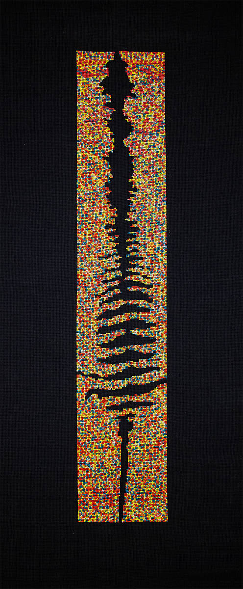 The code endures: remnant of a lost species by Courtney Barr, Image 1.