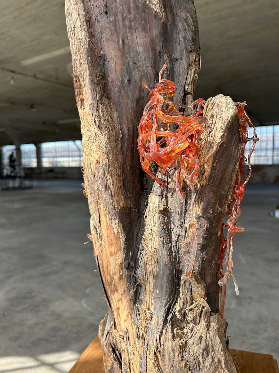 Cypress Red Weave by Caitlin Ezell Waugh, Image 1.