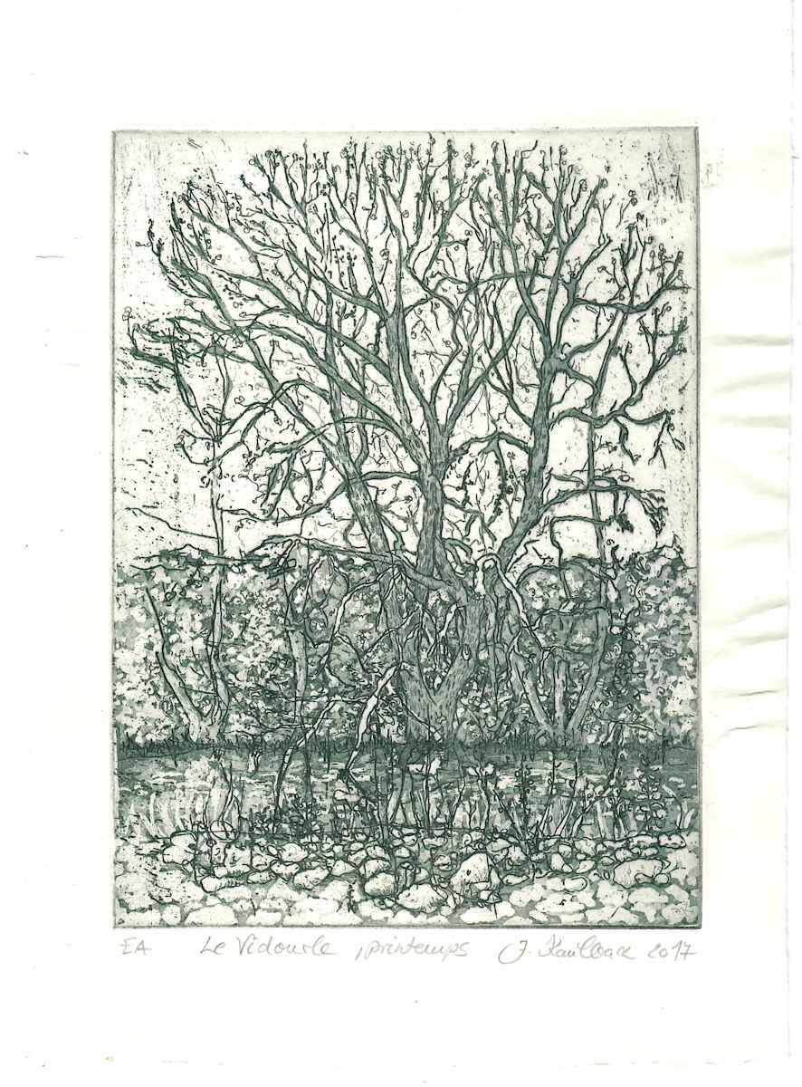 Arbre, le Vidourle, Printemps Proof 3 by Julia Kaulbach, Image 1.