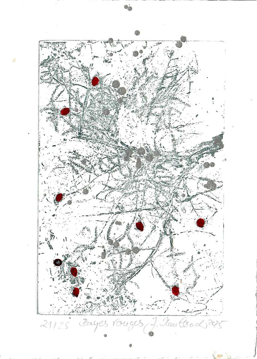 bayes rouges 21/25 by Julia Kaulbach, Image 1.