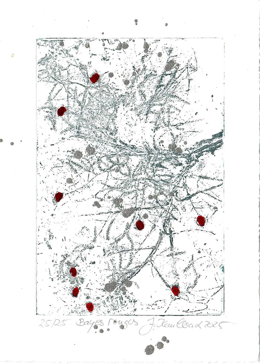 bayes rouges 25/25 by Julia Kaulbach, Image 1.