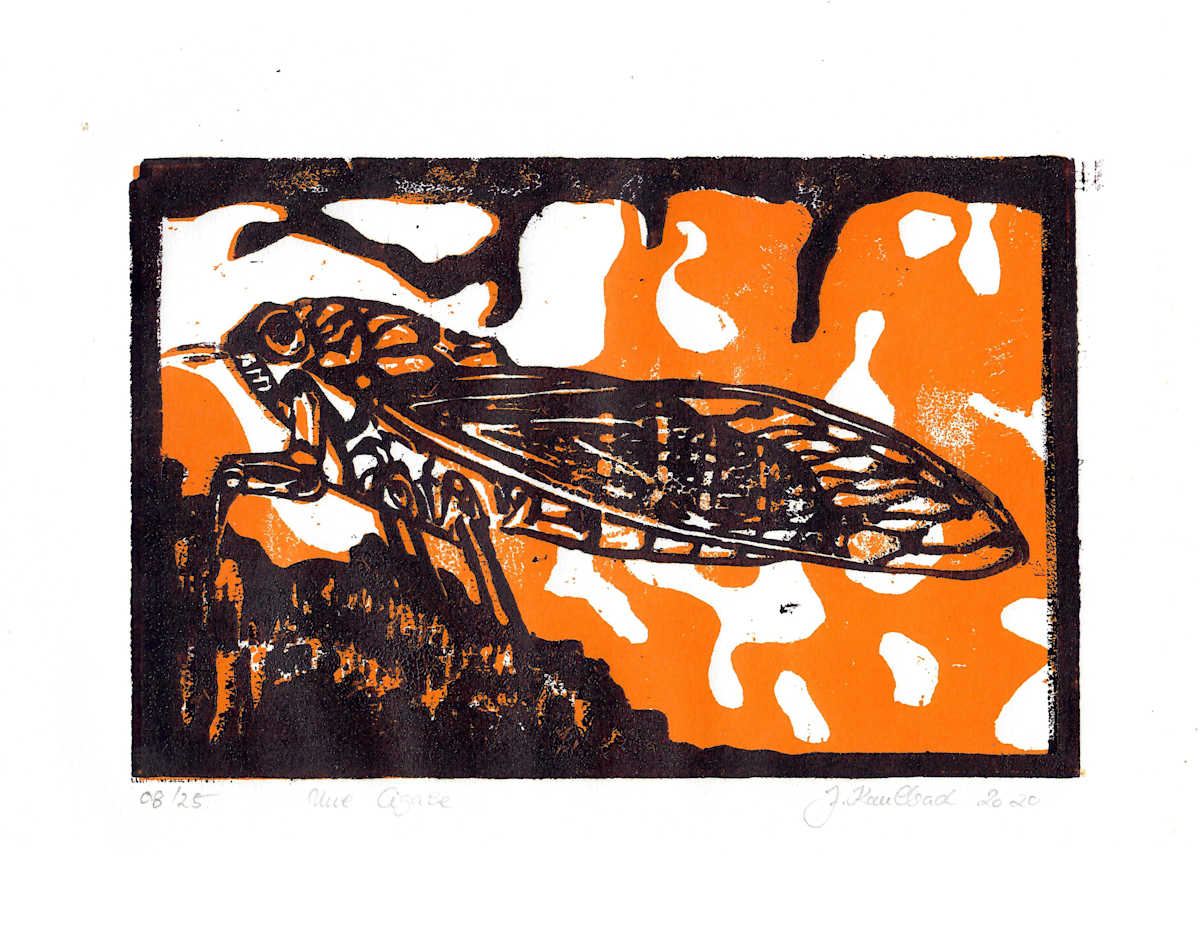 Une Cigale 8/25 by Julia Kaulbach, Image 1.