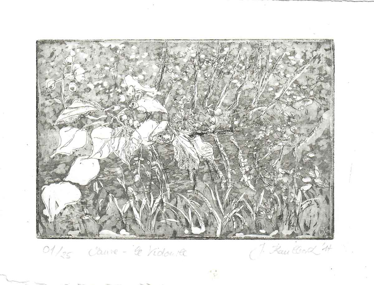 le vidourle aquatinta black 1/1 by Julia Kaulbach