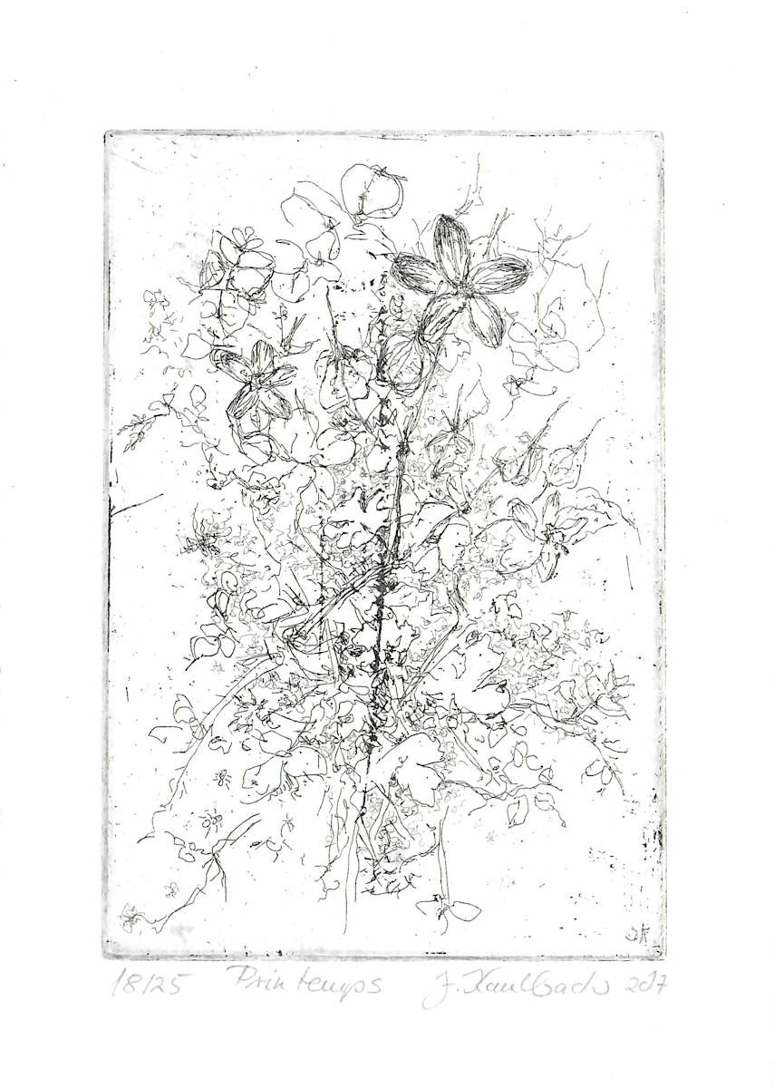 Printemps 18/25 by Julia Kaulbach, Image 1.