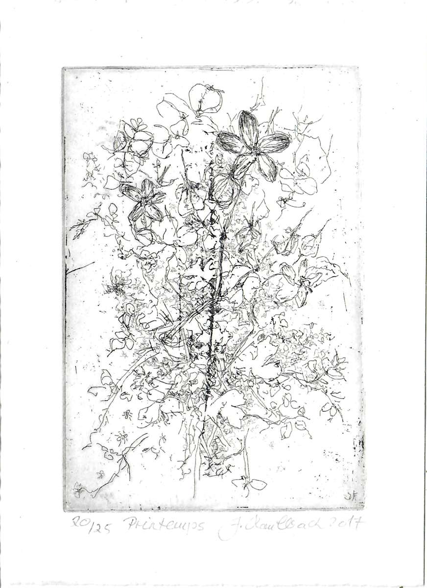 Printemps 20/25 by Julia Kaulbach 