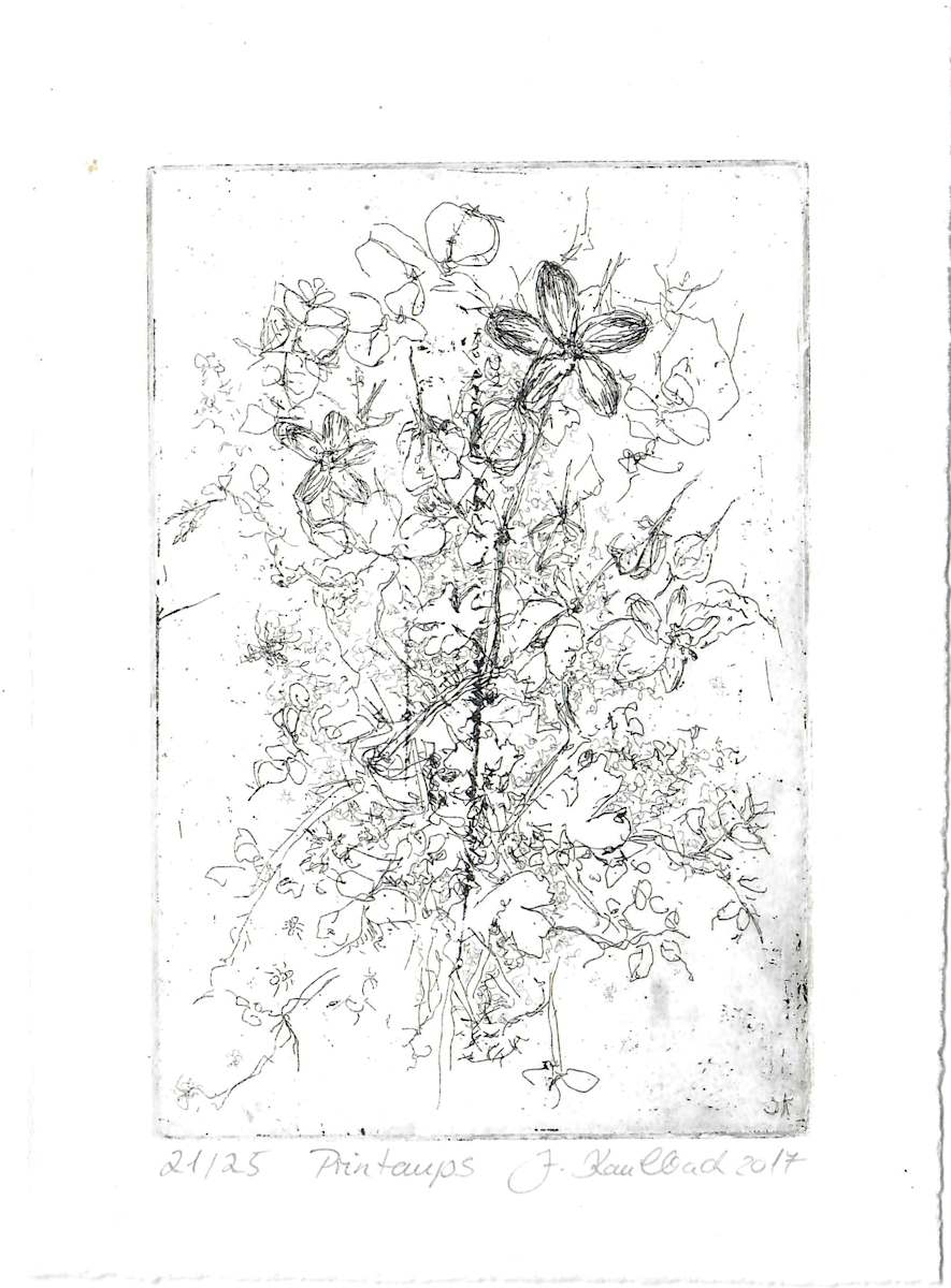 Printemps 21/25 by Julia Kaulbach