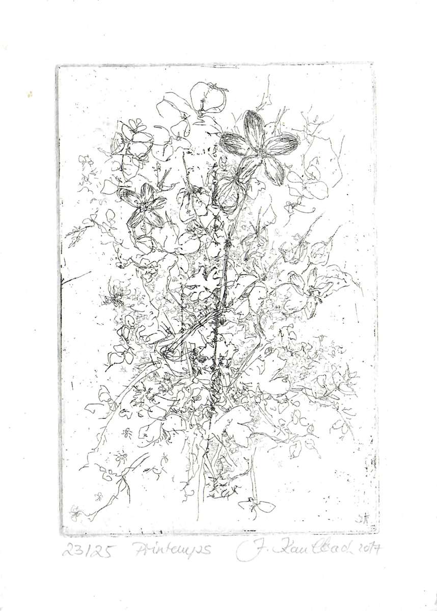 Printemps 23/25 by Julia Kaulbach, Image 1.