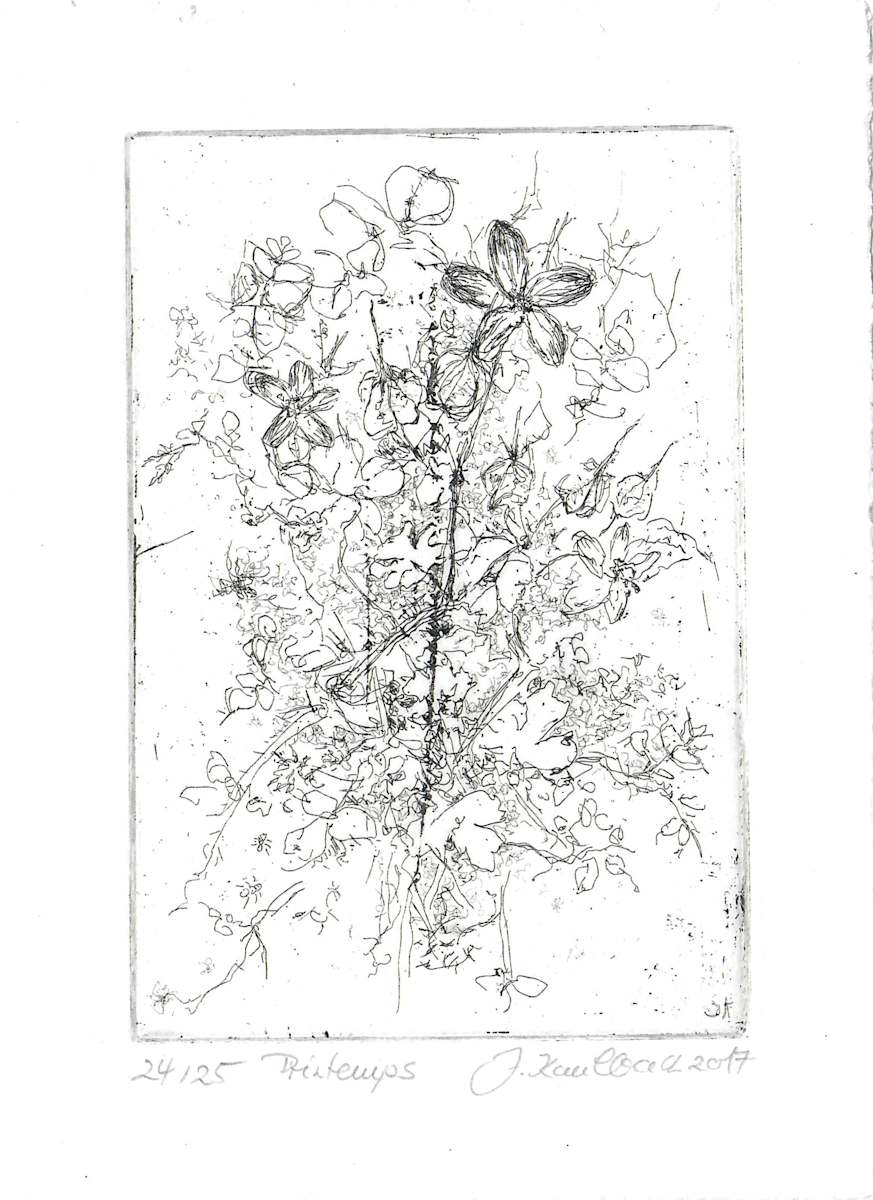 Printemps 24/25 by Julia Kaulbach, Image 1.