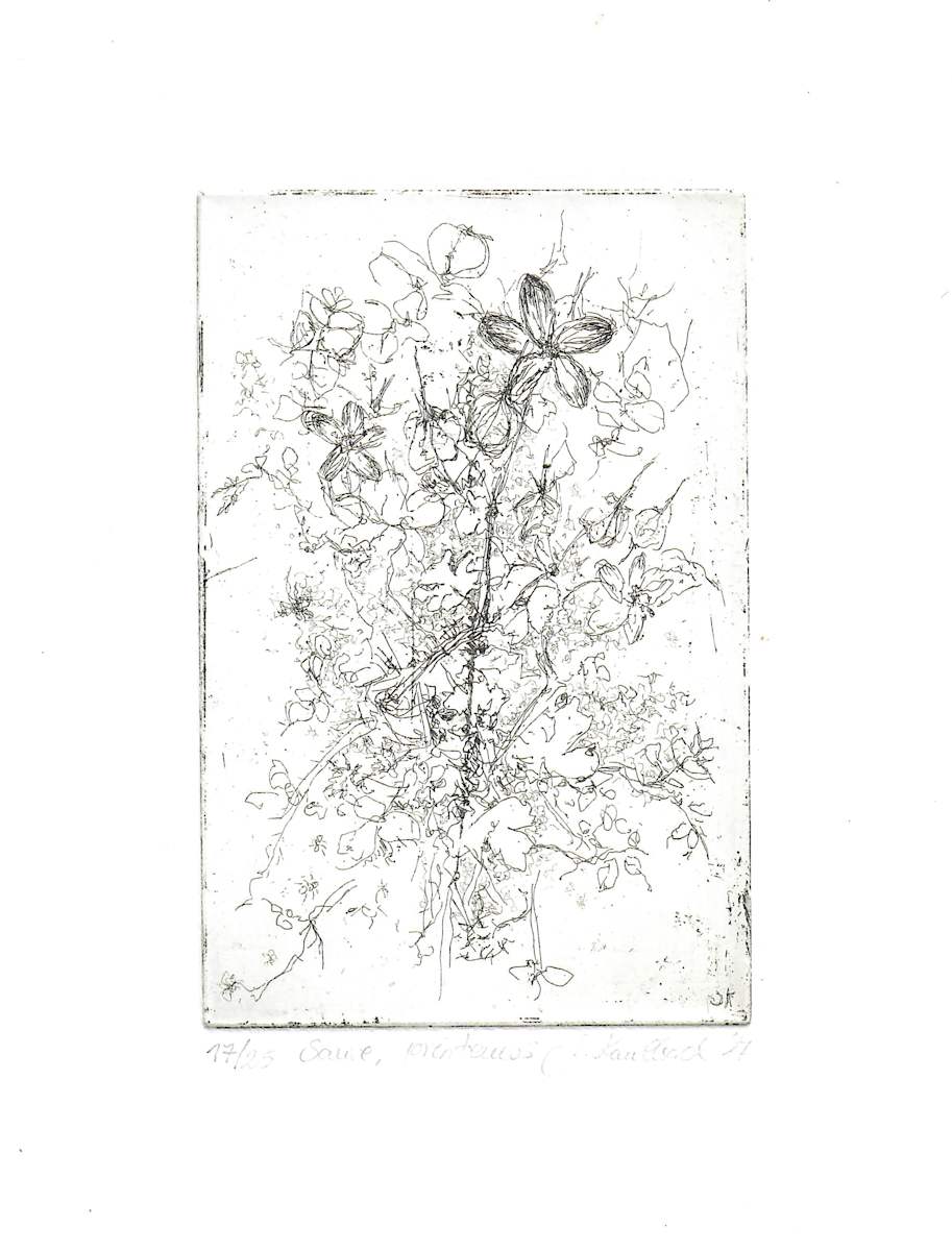 Printemps 1/25 by Julia Kaulbach 